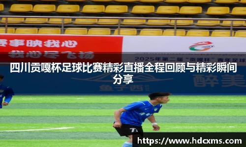中欧体育平台