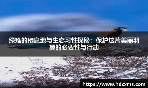 绿雉的栖息地与生态习性探秘：保护这片美丽羽翼的必要性与行动