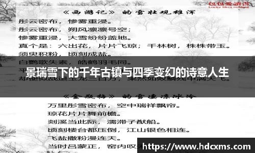 中欧体育平台