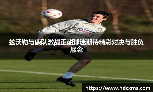 中欧体育平台